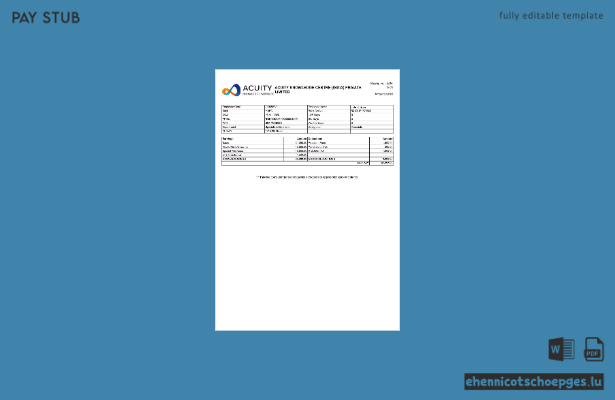 Gehaltsabrechnungsbeispiel von India Acuity Knowledge Centre Private Limited